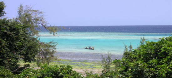 Manta Reef, Zanzibar