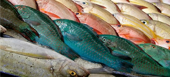 El mercado de pescado, Tahití
