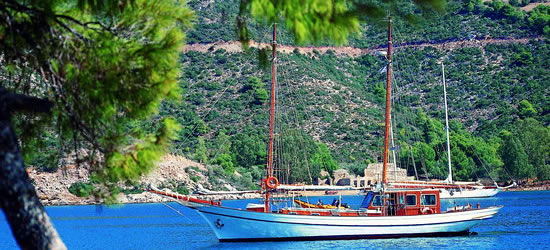 M/S Eleftheria