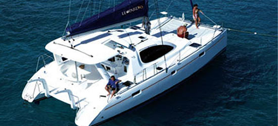 Leopard 40