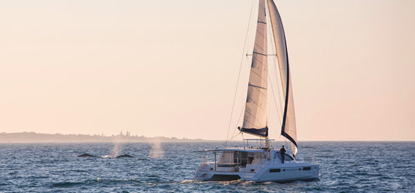 Leopard 48