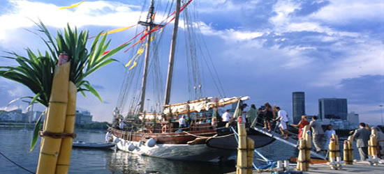 Tocorimé Gaff Schooner