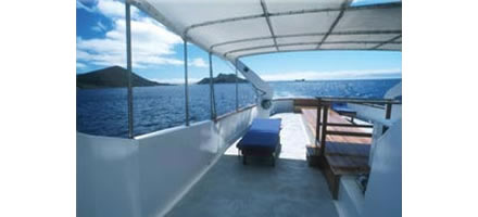 Beluga Motor Yacht
