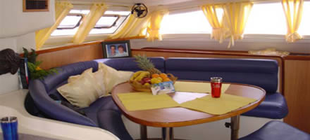 Leopard 47