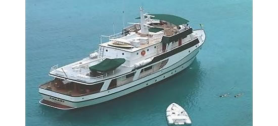 Askari Luxury Motor
