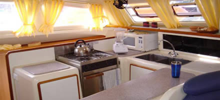 Leopard 47