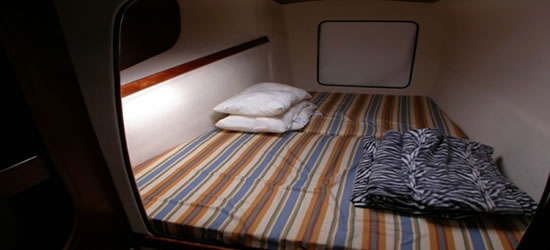 Athena 38