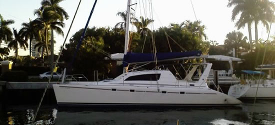 Leopard 47