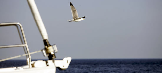 Hanse 350