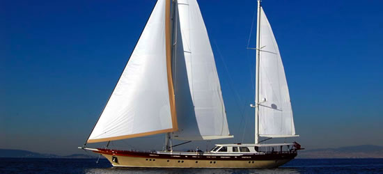 M/S Zelda