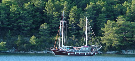 Gulet Sedna