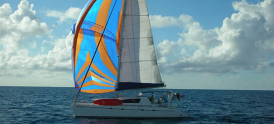 Leopard 47