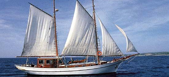 M/S Eleftheria