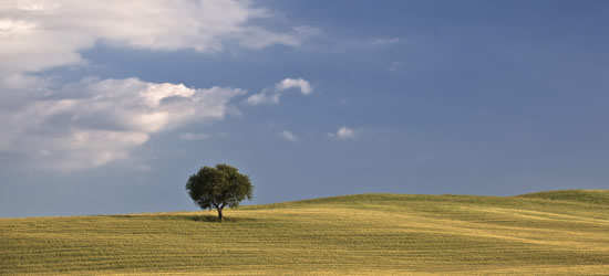 Imágenes de Pescara