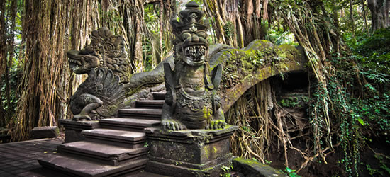 Un puente a través de las raíces de un árbol de Banyan, Bali